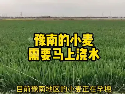 #抖音助农 #新农人计划 #一份耕耘一份收获 #农业人话农业