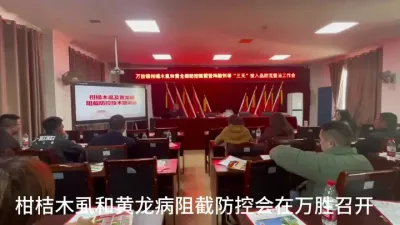 #李老师说柑桔