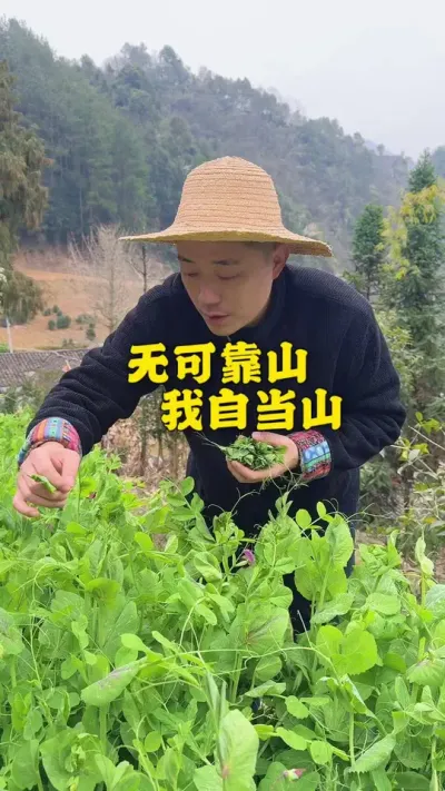 返乡7个月的生存报告！看懂就是进阶之路 #记录真实生活 #返乡创业新农人 #新农人计划2025