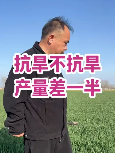 抗旱不抗旱 产量差一半 宁打一口井，不盖三间房
井水河水自带营养，额外助力小麦生长。
不怕干旱，就怕靠天吃饭！
浇水换粮，早早决断#分享农业知识帮助农民增产增收