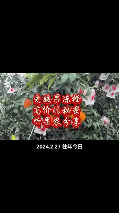 #健康柑橘 #李老师说柑桔