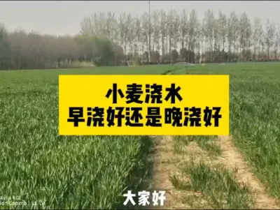 #新农人计划 #农业种植 #原创视频 #抖音助农#农业人话农业