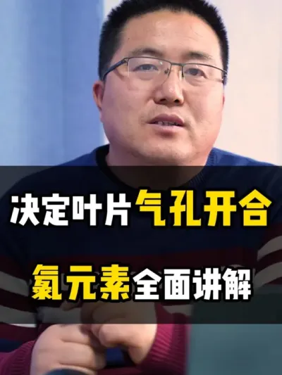 决定叶片气孔开合，氯元素，全面讲解 #氯肥 #肥料知识 #肥料知识分享 #龙岳农科 #种植技术