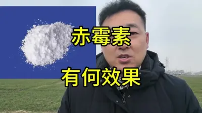 赤霉素的使用方法，有什么效果和注意事项#赤霉素#果实膨大