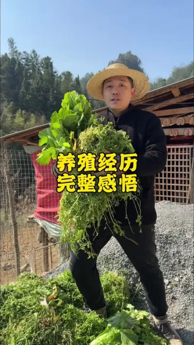 带毛的养殖经历，听懂的不走弯路 #记录真实生活 #返乡创业新农人 #新农人计划2025