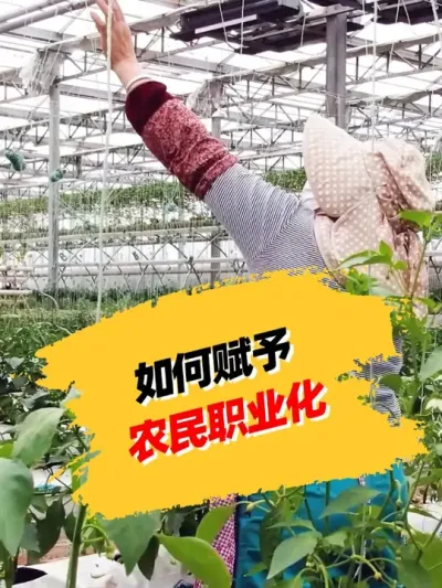 如何赋予农民职业化 