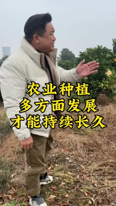 农业种植，多方位发展，才能立于不败之地！ #种植小技巧 #玉竹 #2024新农人计划 #抖音助农 #中药材