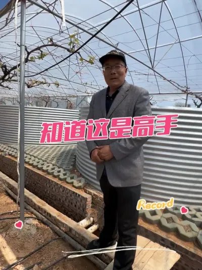 葡萄架下一排大桶 谁知道干啥的，就厉害了#果园管理 #葡萄 @苗姐逛果园
