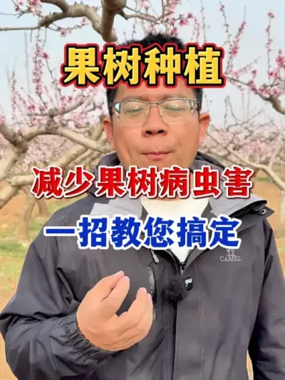 果树春季怎么清园，才能没有病虫害。 #果树种植 #病虫害防治  #果园管理   #农业种植  #分享果树种植管理技术