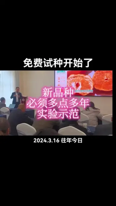 #好景一号 #免费试种 #李老师说柑桔