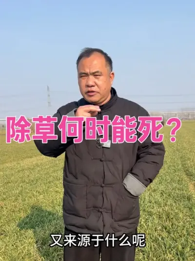 除草何时能死？ 操作剂量、水量合适，温度和墒情决定死草时间！#农业种植