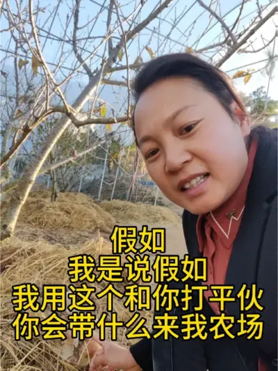 天再冷又如何？风霜雨雪又能怎样？闹钟一响，依旧得立刻起床。牛马般的生活新一天又拉开帷幕。一日未脱贫，搬砖便不能停歇。我何尝不想随性地生活，然而现实却不允许。没有与生俱来的好命，唯有奋不顾身地努力。缺钱
