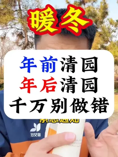 这个暖冬，到底年前清园好？还是年后清园好？#果树清园 #病虫害防治 #暖冬 #果树种植#果树管理