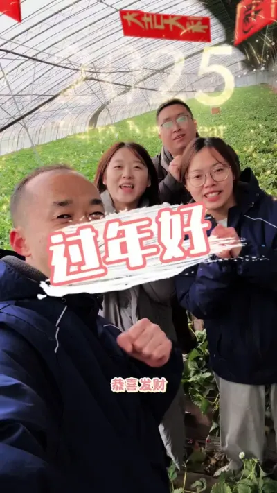过年好🎉 思博瑞农业祝大家新春快乐、万事如意！#草莓 #草莓园 #种草莓 #三农种植 #农业技术