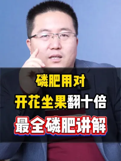 磷肥用对，坐果至少翻十倍，磷肥最全最详细讲解 #磷肥 #磷肥的作用 #磷酸二氢钾 #农业种植 #种植小技巧