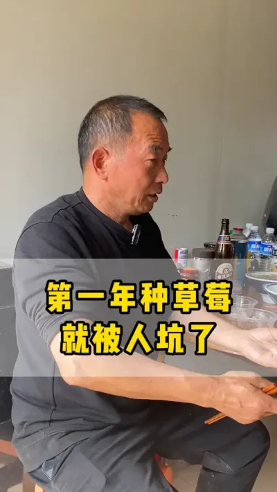 我第一年种草莓就被坑了，不知道大家有没有这样的经历#草莓 #草莓种植 #农业 #草莓苗