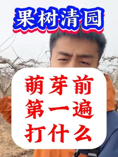 果树萌芽前打什么才能没有病虫害？#病虫害防治 #果树清园 #果树种植 #果树管理 #果园管理