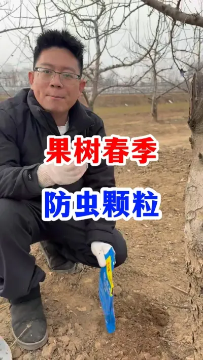 果树防虫颗粒 #果树种植 #抖音助农   #瓜果蔬菜病虫害防治   #分享果树种植管理技术   #果树病虫害