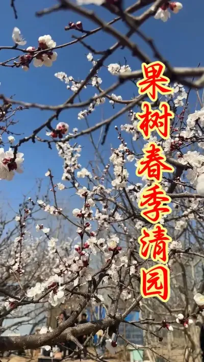 果树春季清园专用。 #果树种植   #果园管理 #果树清园 #抖音助农 #农业种植