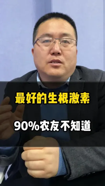 最好的生根激素，90%农友不知道 #生根 #促根 #促根壮苗 #农业种植 #龙岳农科