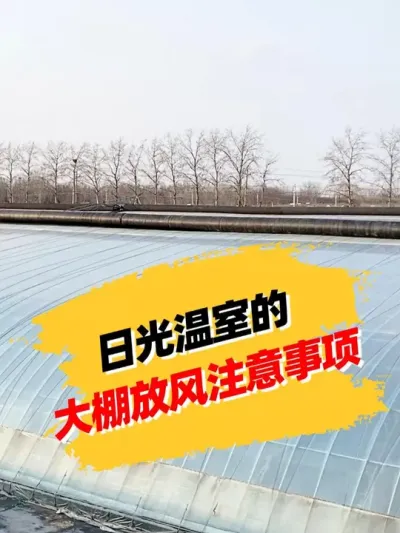 日光温室的大棚放风注意事项 #新农人计划 #大棚