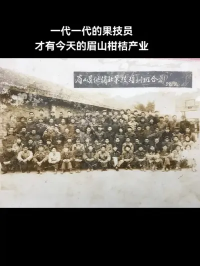 一代一代的果技员，才有今天的眉山柑桔