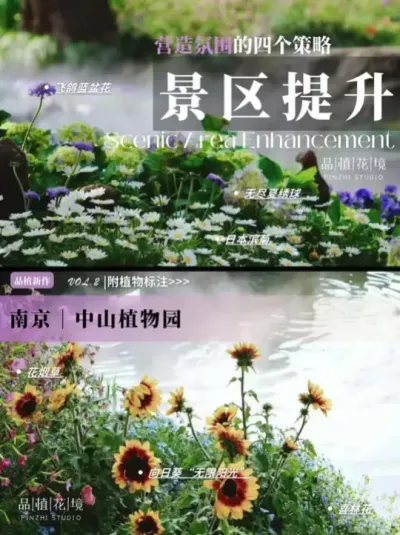 🌿 景区氛围提升秘籍：四个植物配置策略，打造自然美学！
🌟 策略一：本土植物，自然之选
选择与当地气候、土壤完美契合的本土植物，不仅生长旺盛，还能大大节省养护成本。它们是这片土地的&ldquo;原住民&rdquo;，更能融入