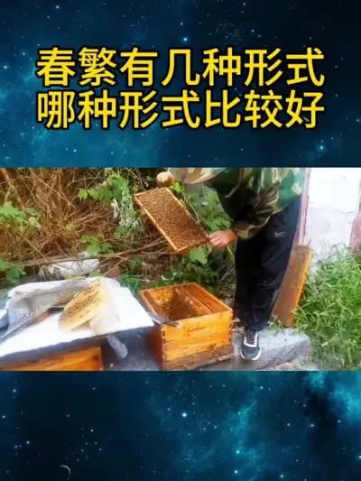 春繁有几种形式哪种形式比较好 春繁有几种形式
哪种形式比较好#养蜂技术分享 #春繁蜜蜂 #农村养蜂人 #每天分享养殖技术和经验 #中蜂养殖