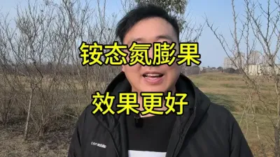 铵态氮比硝态氮的实用性更强，比酰胺态氮更有优势，特别是在膨果阶段使用，所带来的效果，不是尿素酰胺态氮和硝态氮相能比的。铵态氮最大的优势就是膨果既迅速，而且不影响果实品质。但是铵态氮虽然好，也有一些缺点