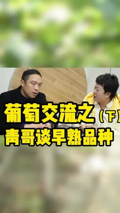 #御润青哥 评价新品种#泽山早香红 #新农人计划 #葡萄新品种 #抖音助农