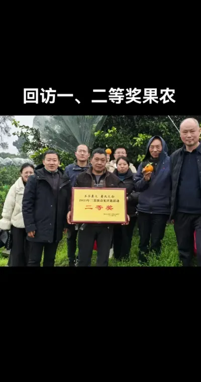 回访东坡春见𤆵𤆵柑部分得奖种植户 #东坡春见#𤆵𤆵柑#李老师说柑桔