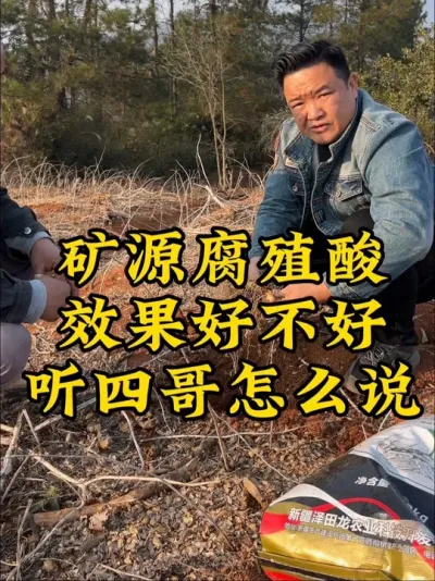矿源腐植酸钾效果好不好，听听桥市四哥怎么评价？ #药材种植 #种植小技巧 #玉竹 #抖音助农 #2024新农人计划