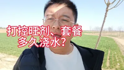 小麦喷施增产套餐、控旺剂后多久可以浇水？ 