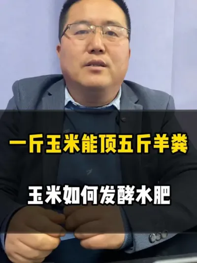 一斤玉米能顶五斤羊粪，玉米如何来发酵水肥 #水肥发酵 #发酵水肥 #玉米发酵 #农业种植 #龙岳农科
