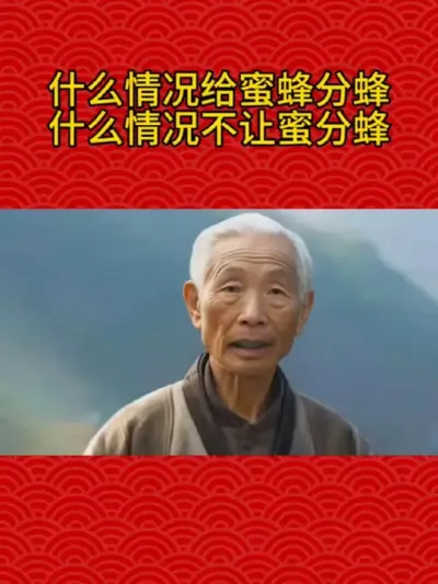 什么情况给蜜蜂分蜂什么情况不让蜜分蜂 #养蜂技术分享 #每天分享养殖技术和经验 #农村养蜂人 #每天分享养殖小知识 #提供养殖技术