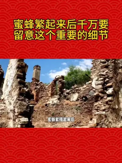 蜜蜂繁起来后千万要留意这个重要的细节 #养蜂技术分享 #农村养蜂人 #养蜜蜂新手入门教程 #养蜂人解说 #分蜂办法