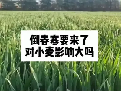 #抖音助农 #一份耕耘一份收获 #新农人计划#农业人话农业