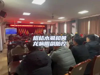 柑桔木虱和黄龙病阻截防控暨&ldquo;三无&rdquo;投入品整治工作会在万胜镇 柑桔木虱和黄龙病阻截防控暨&ldquo;三无&rdquo;投入品整治工作会在万胜镇召开#李老师说柑桔