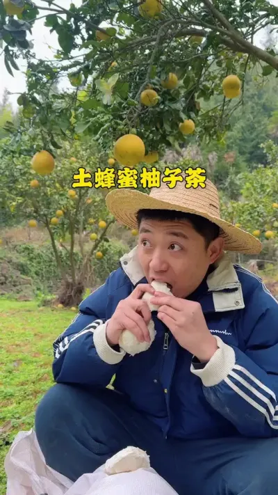 蜂蜜柚子茶，来看看大山里自制果茶有多好喝 #新农人计划2024 #蜂蜜柚子茶 #乡村生活也可以很治愈