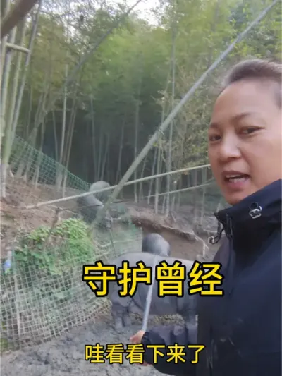 琼瑶走了，我们的青春，连尾巴都没了。当年课堂上，除了有仗剑走天涯的武侠梦之外，还特别期盼能像小燕子那样遇到尔康，于是，守着那台黑白电视机，一遍又一遍地追逐着不可能实现的梦想！.如今，古龙走了，梁羽生走