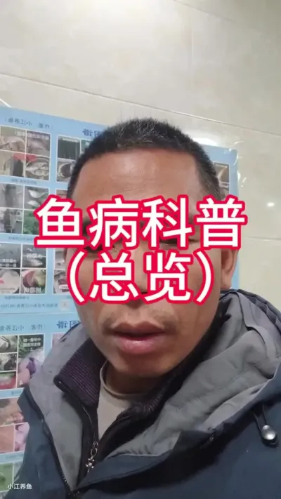 四大家鱼养殖有哪些常见病害#水产养殖#水产养殖技术