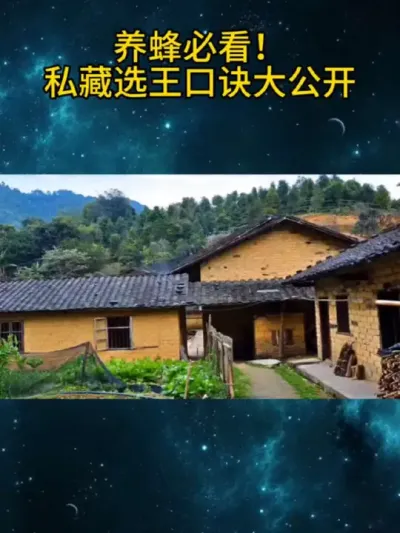 养蜂必看！私藏选王养蜂口诀大公开 #养蜂口决#养蜂技术分享 #养蜂人 #养蜜蜂新手入门教程 #养蜂人解说 #养殖蜜蜂的技术方法