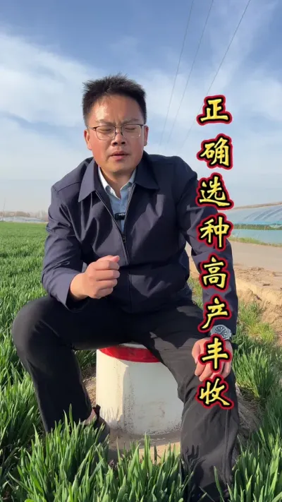 种地大户选种建议。#增产增收 #增产增收才是硬道理 #服务三农支持三农 #农业知识 #帮助农友们增资增产