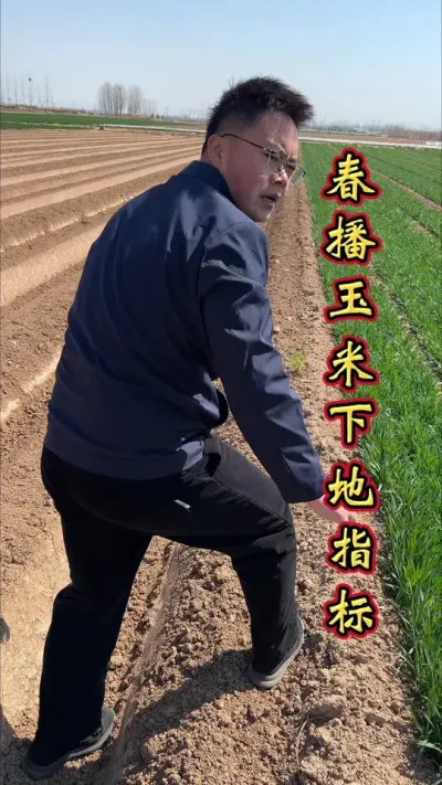 春播玉米满足这几个指标，就可以开始种植啦。#玉米高产种植技术 #玉米种植 #增产增收 #玉米种植技术 #服务三农支持三农