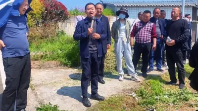 现在管理要点 #柑桔木虱#柑桔树脂病#褐斑病#李老师说柑桔