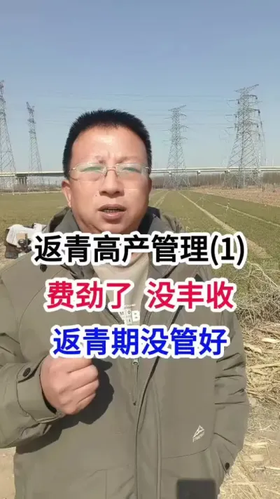 返青高产管理(1)，费劲了，没丰收，返青期没管好 返青高产管理(1)，费劲了，没丰收，返青期没管好
#小麦种植 #小麦种植管理技术 #小麦高产技术 #马哥聊农业 #农技知识分享