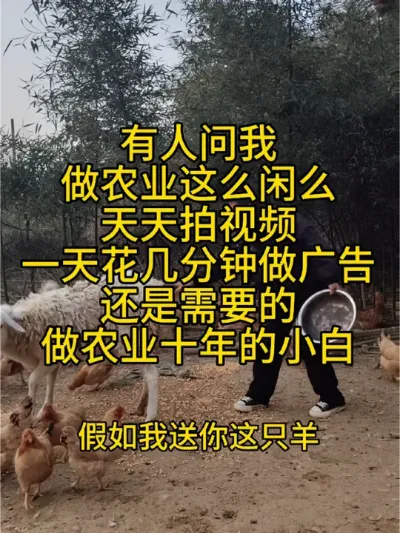 有人问我，天天拍视频，是不是做农业都这么闲的，我要告诉你的是，不是农业人闲，是他们需要把好东西分享出去，你刚好需要，我又刚好有，我们不就成为朋友了吗#农村创业养殖 #每天都记录我的农村真实生活日常 #