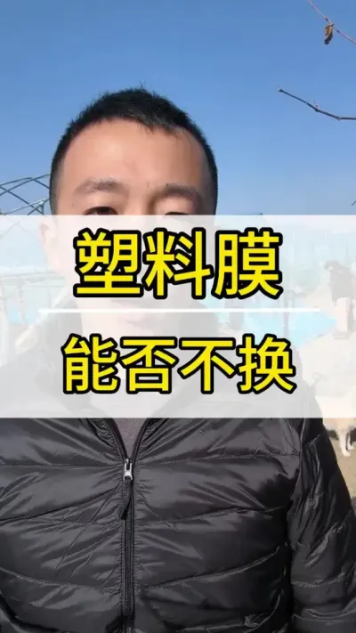 更换塑料膜年限和利弊 #葡萄种植技术 #新农人计划2022 #阳光玫瑰葡萄 #抖音助农 #三农