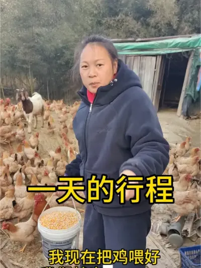 天不亮就起床杀鸡鸭，天亮鸡喂好出门送货，孩子送去给住院的娃他爹，我就开启了忙忙碌碌的一天#我为家乡农产品代言 #新农人计划 #真材实料好味道 #新农人计划2024 @抖音小助手