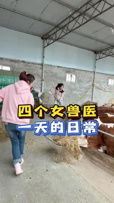 姐妹的一天，一边拌嘴一边干活，但是很有氛围！ #乡村守护人&nbsp; &nbsp;##来抖音学农技 &nbsp;#农#农村创业养殖&nbsp;#兽医#兽医#我的乡#我的乡村生活